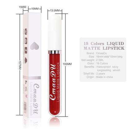 SEXY LONG LASTING VELVET LIP GLOSS