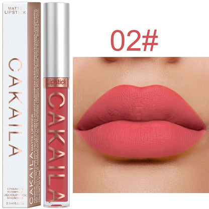 SEXY LONG LASTING VELVET LIP GLOSS