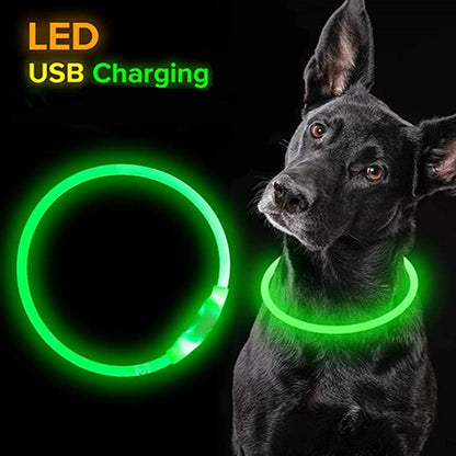 LED USB DOG COLLAR LUMINOUS NIGHT SAFETY FLASHING.