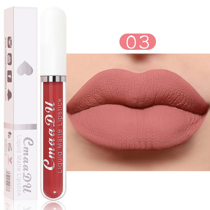 SEXY LONG LASTING VELVET LIP GLOSS