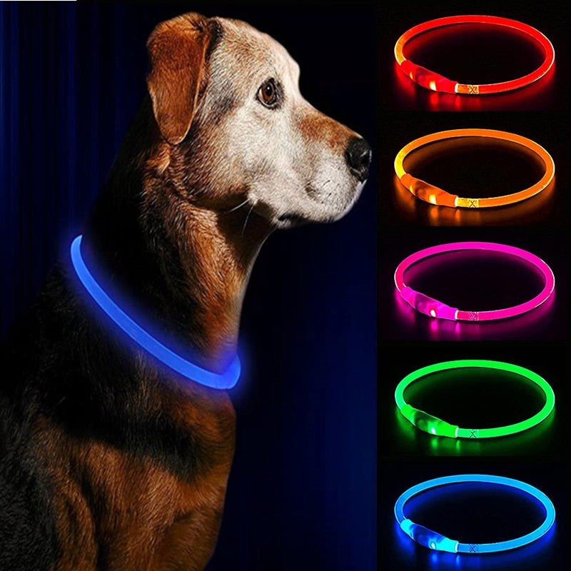 LED USB DOG COLLAR LUMINOUS NIGHT SAFETY FLASHING.