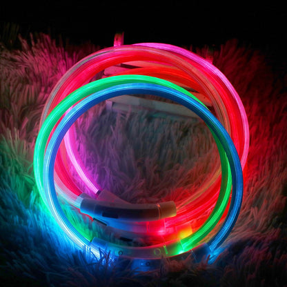 LED USB DOG COLLAR LUMINOUS NIGHT SAFETY FLASHING.